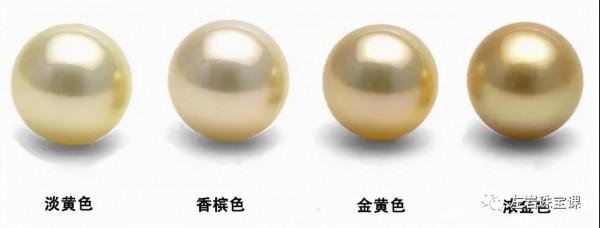 冬日提升氣質必備!南洋金珠到底是什麼來頭? 冬日提升氣質必備!南洋金珠到底是什麼來頭?