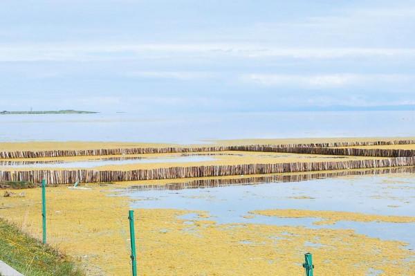標緻4008環青海長測Day9：鳥島叫“蚊子島”，沿青海沿線達剛察！