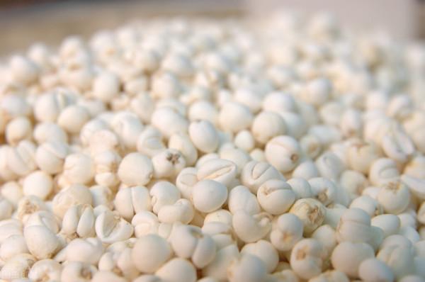 常用中藥川貝母的功能作用 常用中藥川貝母的功能作用