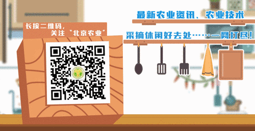 這些保健蔬菜的營養與栽培方法你都知道嗎？