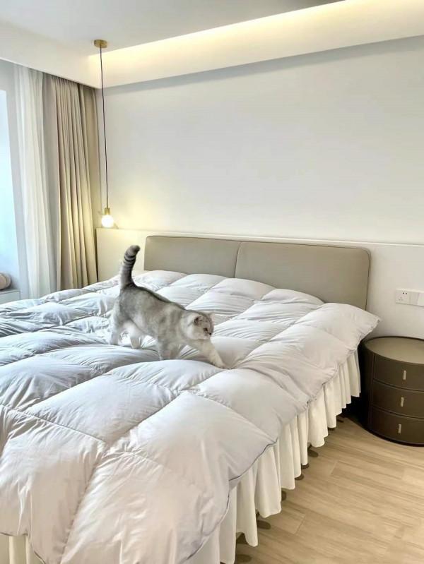 她家全屋大白牆，簡約又大方，電視牆做櫃子，飄窗改吧檯，真明智