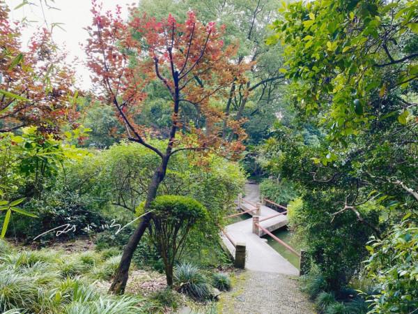 上海嘉定的“尷尬”公園,門票5元卻幾乎沒人,遊客:不如不收 上海嘉定的“尷尬”公園,門票5元卻幾乎沒人,遊客:不如不收