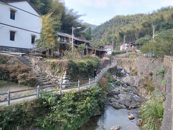 杮子紅了—丹山赤水杮林村 杮子紅了—丹山赤水杮林村