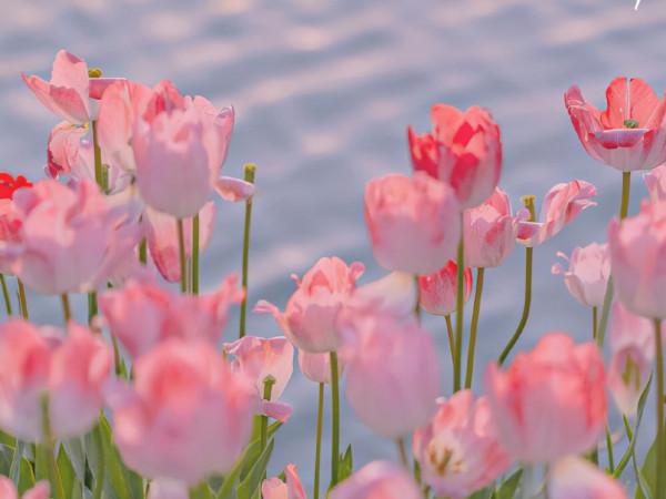 做事靈活多變,擅長突破自我的星座,有靈氣的人,往往不拘一格 做事靈活多變,擅長突破自我的星座,有靈氣的人,往往不拘一格