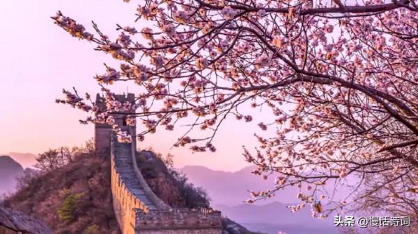 毛澤東的詠梅詞,洞察世事,梅花不懼嚴寒,抱雪盛開 毛澤東的詠梅詞,洞察世事,梅花不懼嚴寒,抱雪盛開