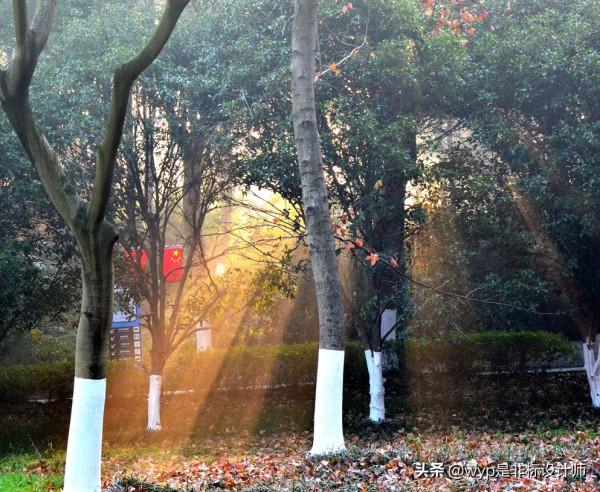 神聖的丁達爾效應——耶穌光