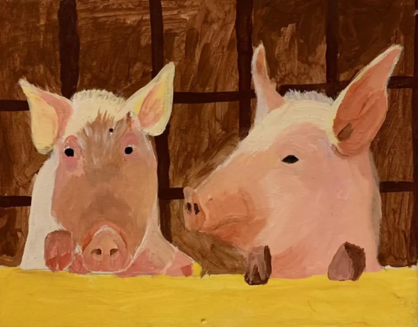 給3個娃選了十幾年興趣班，最後發現法寶竟然是“當豬養”