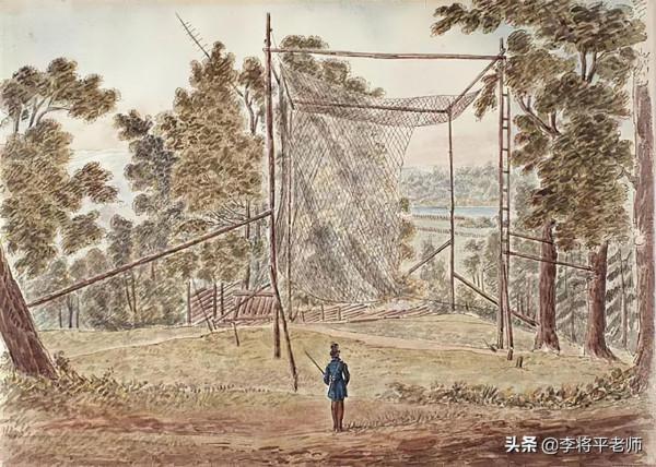 100年，50億生命的消失，美國旅鴿到底是如何被滅絕的？