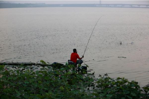 野外垂釣乾貨來了，學會這些，不再空軍