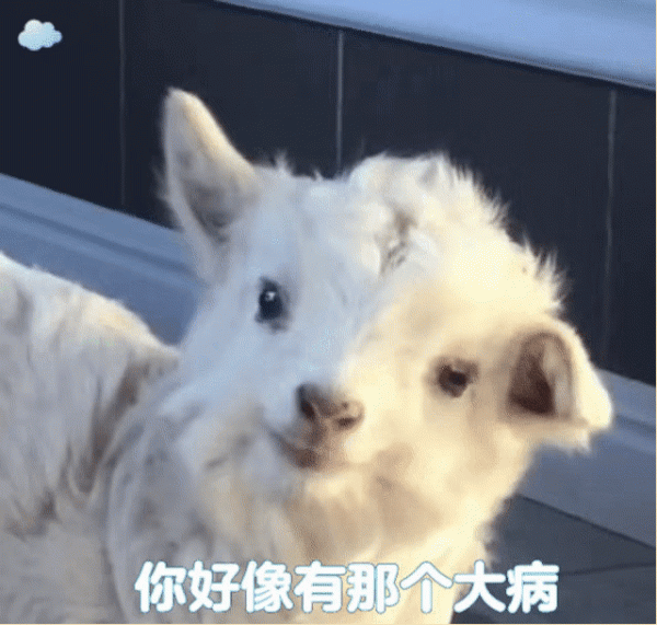 歐洲中世紀的女性為了美有多瘋狂？