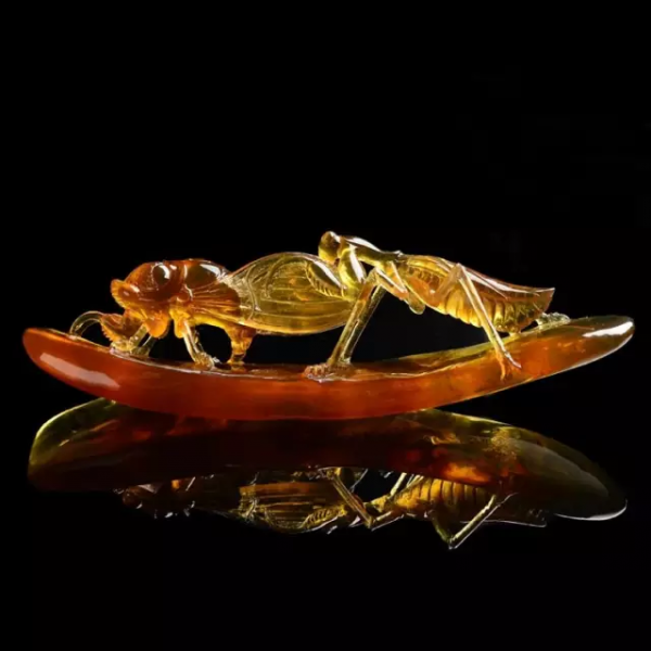 千年琥珀，驚豔了時光