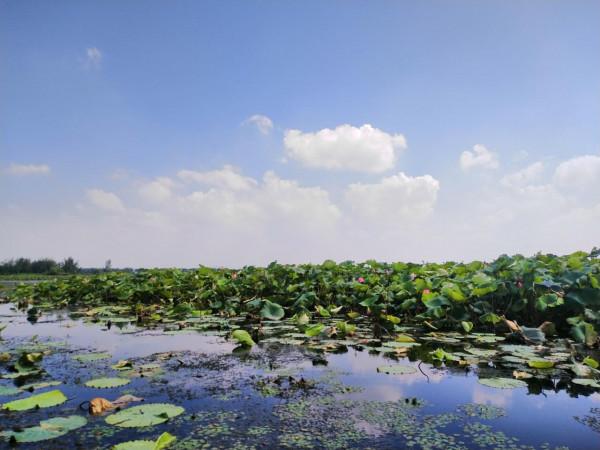 重大考古發現，大邑商與大邑周是武王克商前後對同一古城邑的美稱