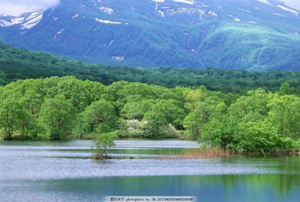 打卡第七十八天 清水辟穀減肥第七十一天