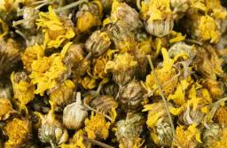 血壓高、溼氣重、脾胃虛，三杯茶飲請自取