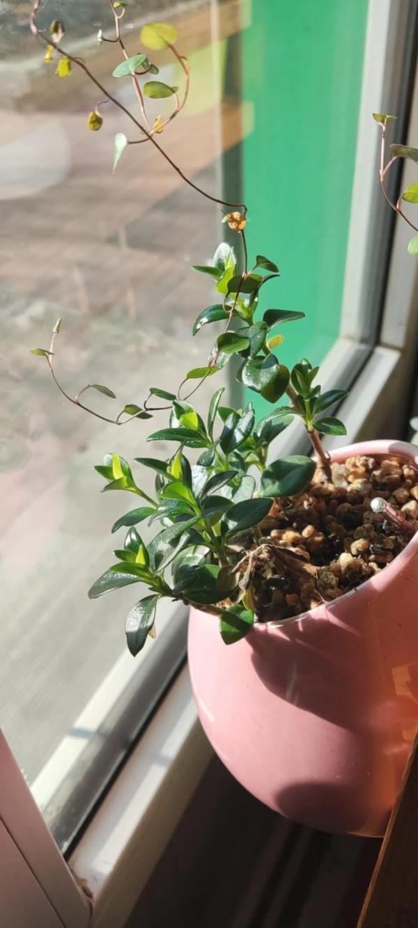 論選對位置的重要性 論選對位置的重要性