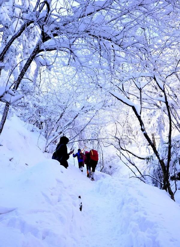 「冬日徒步」 登頂杏梅尖,看玉樹冰掛,攬霧凇勝景,探龍門古鎮 「冬日徒步」 登頂杏梅尖,看玉樹冰掛,攬霧凇勝景,探龍門古鎮
