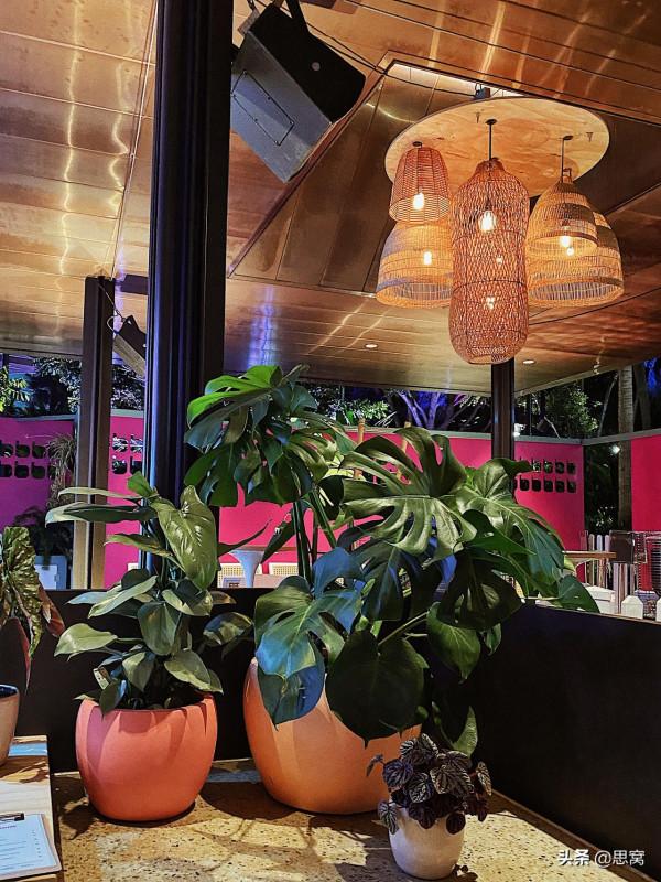 思窩星圖騰:布里斯班節,藝術源於生活又高於生活,終將回歸生活 思窩星圖騰:布里斯班節,藝術源於生活又高於生活,終將回歸生活