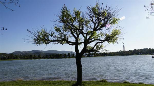 圖組丨踏著春光，迎接彌勒春暖花開