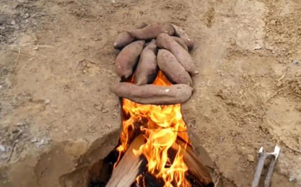 農村七零、八零後都幹過的“壞事”你幹過幾件？