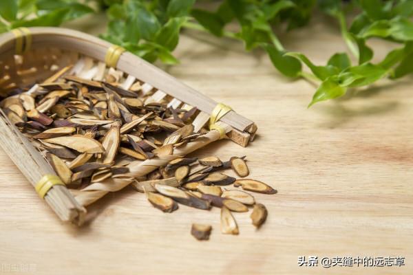 鼻塞、鼻癢、流涕不止？送你十味中藥，通鼻竅，瀉肺熱，