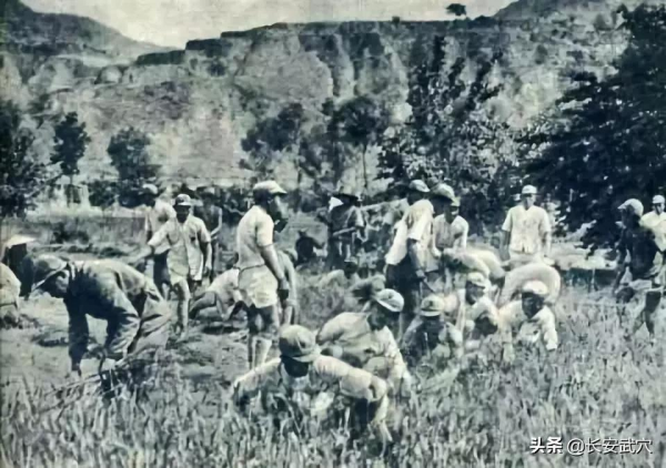 一場決定中央紅軍長征方向的秘密談判