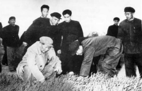 上海姑娘嫁給副部長，7年後丈夫突然坦白：其實我是毛主席的堂弟