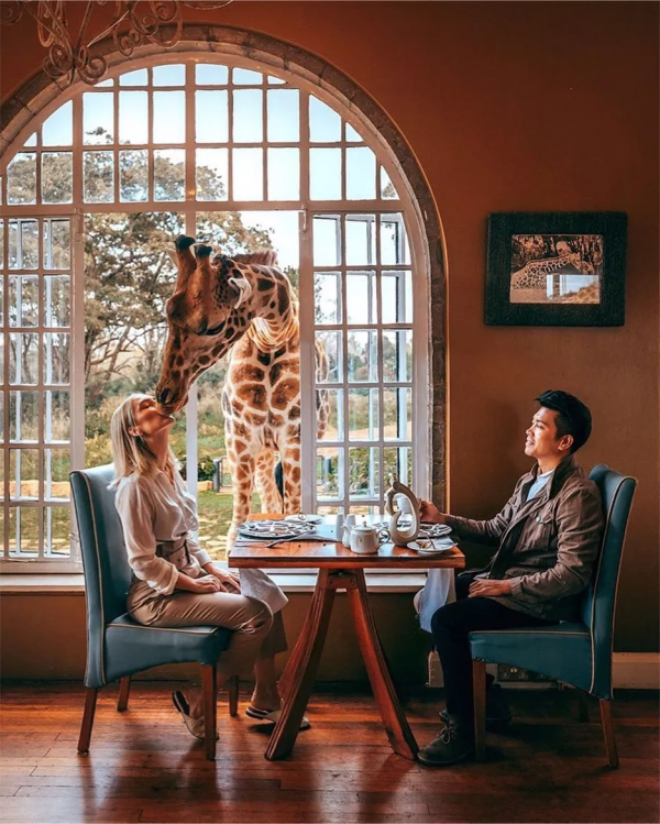 1眼就淪陷!盤點全球zui酷酒店,懸崖邊、飛機上、野生動物園裡… 1眼就淪陷!盤點全球zui酷酒店,懸崖邊、飛機上、野生動物園裡…