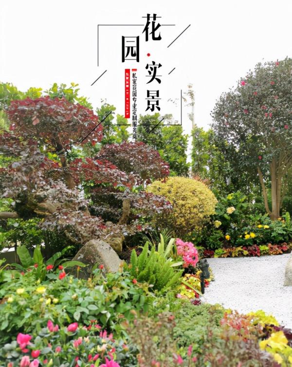 俊馳園林丨怎樣去種植和修剪好您的花園呢？