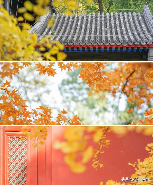 如果沒有疫情，此刻我勸你一定要去一趟北京...