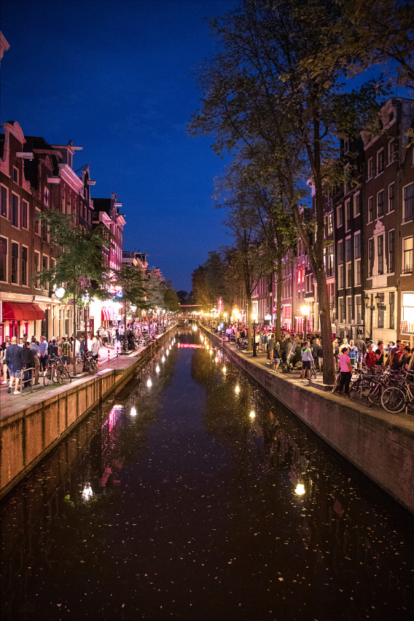 這就是荷蘭，帶你看看“最”真實的荷蘭