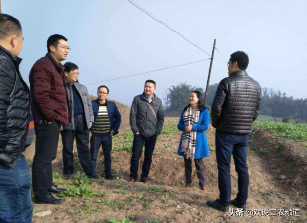 永久退地補3萬/畝，按期退地補500元/畝/年，該咋選？答案來了