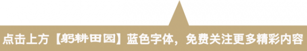 小麥返青期苗情綜合研判及田管建議