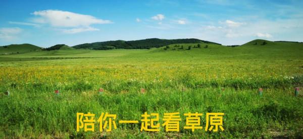 陪你一起看草原