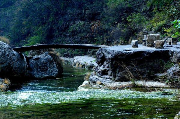 山西一景區走紅,森林覆蓋率達百分之86,素有“天然氧吧”之稱 山西一景區走紅,森林覆蓋率達百分之86,素有“天然氧吧”之稱