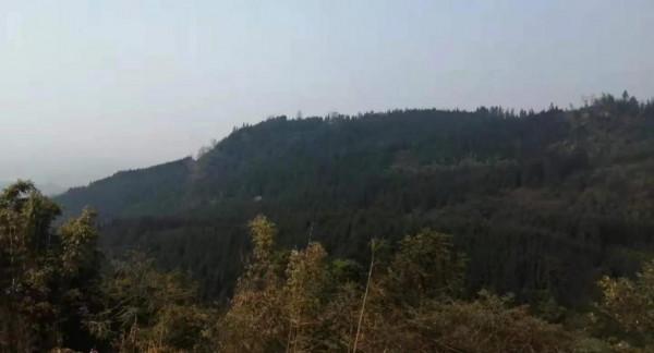 民間故事:乞丐拿著黑碗乞討,施主卻問:“你手裡拿的是什麼?” 民間故事:乞丐拿著黑碗乞討,施主卻問:“你手裡拿的是什麼?”