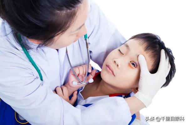 “吸貓擼狗”要做好這5件事,否則蟲卵入眼可致失明 “吸貓擼狗”要做好這5件事,否則蟲卵入眼可致失明