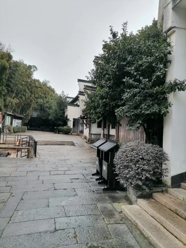 烏鎮千年水木年華，首屆奇葩鍾靈毓秀