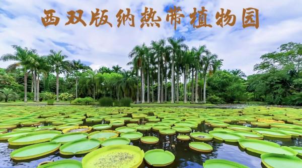 雲南十大旅遊景點，你去過幾個？