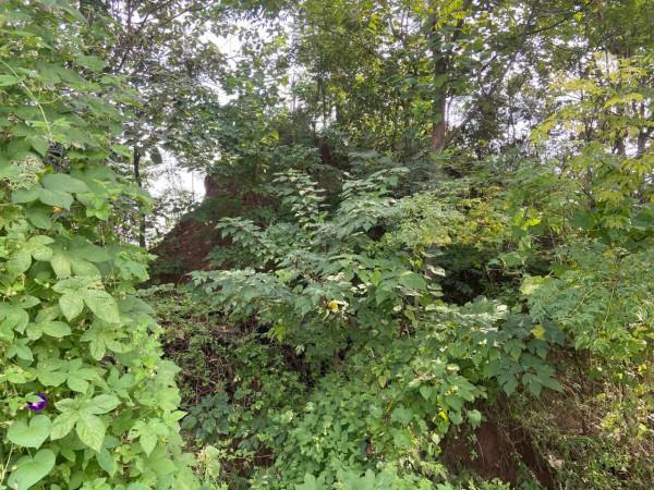 陪葬唐太宗李世民的“昭陵雙墓”，難得一見