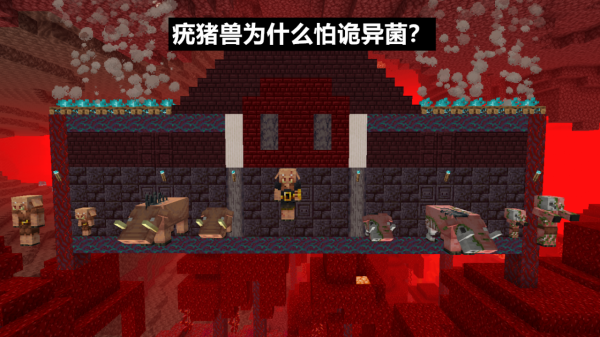 mc本週資訊：疣豬獸為什麼怕“詭異菌”？mc元宇宙，免費領面板等