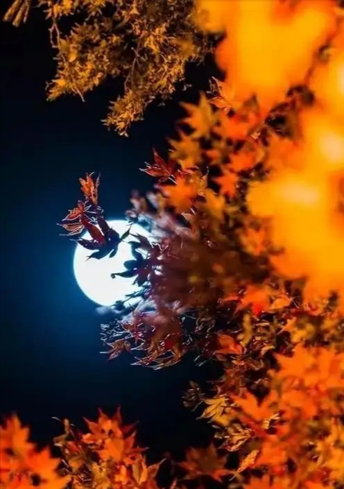 沒有月餅的中秋節