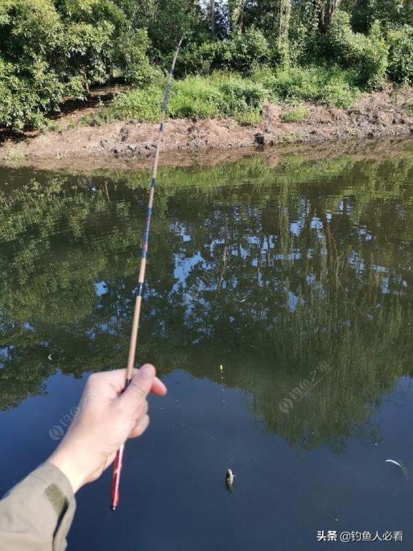 那個釣蝦仔又來了，順便開光新做的小物竿