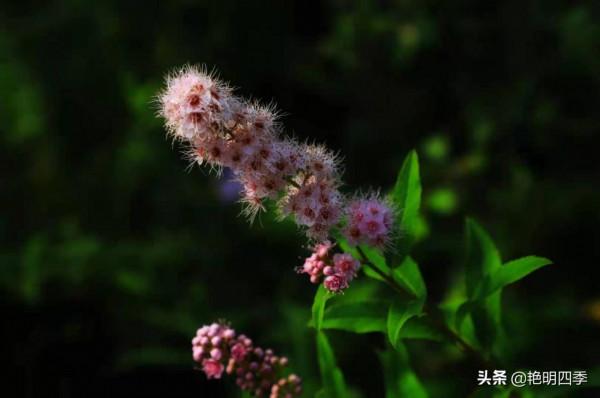 從東極到北極,走G331穿越沿途美景無數(東北邊境行之十二) 從東極到北極,走G331穿越沿途美景無數(東北邊境行之十二)