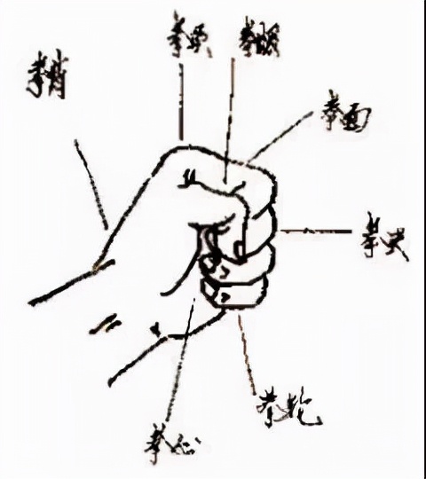 《秘傳八極拳築基底功》第三篇:八極拳手法剛猛的秘密 《秘傳八極拳築基底功》第三篇:八極拳手法剛猛的秘密
