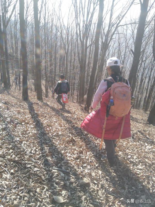 冬至驢行泰山之黃石崖，老平臺，映霞峰，桃花峪東西穿越