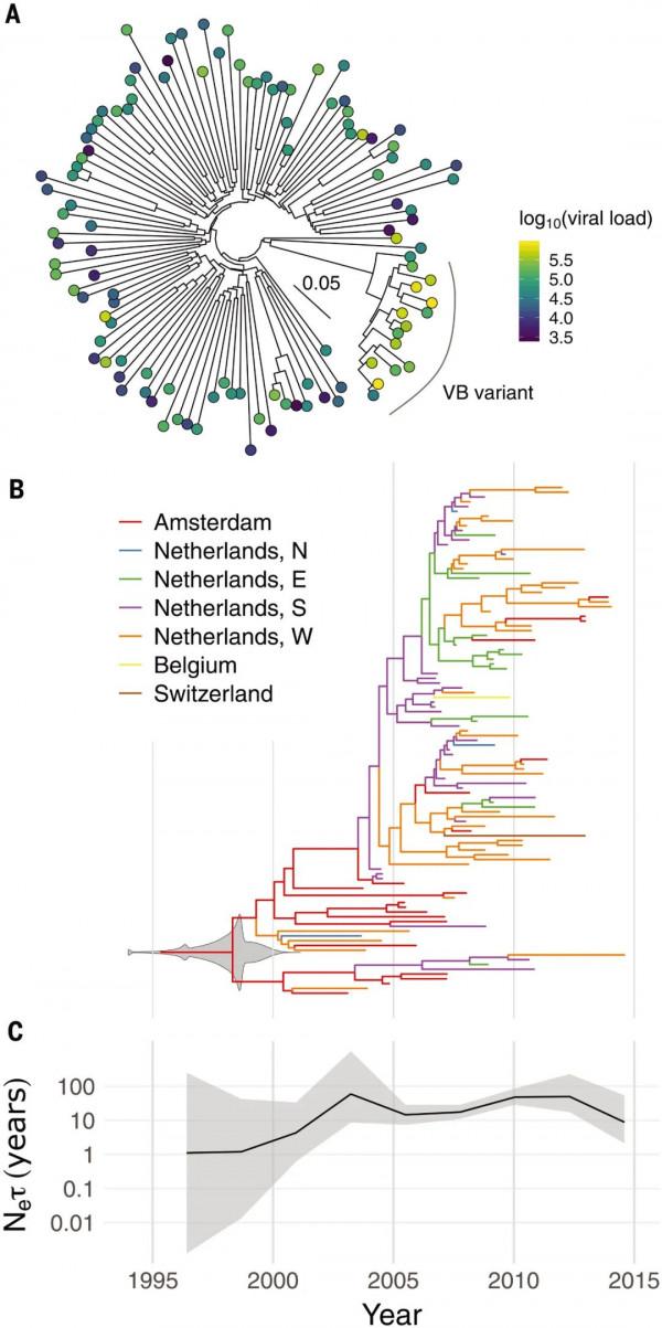 荷蘭發現超級艾滋病毒，病毒承載量狂飆5.5倍