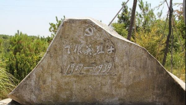 1946年上海一小夥到太嶽尋親，見到傅涯：阿姨，我是陳賡的兒子