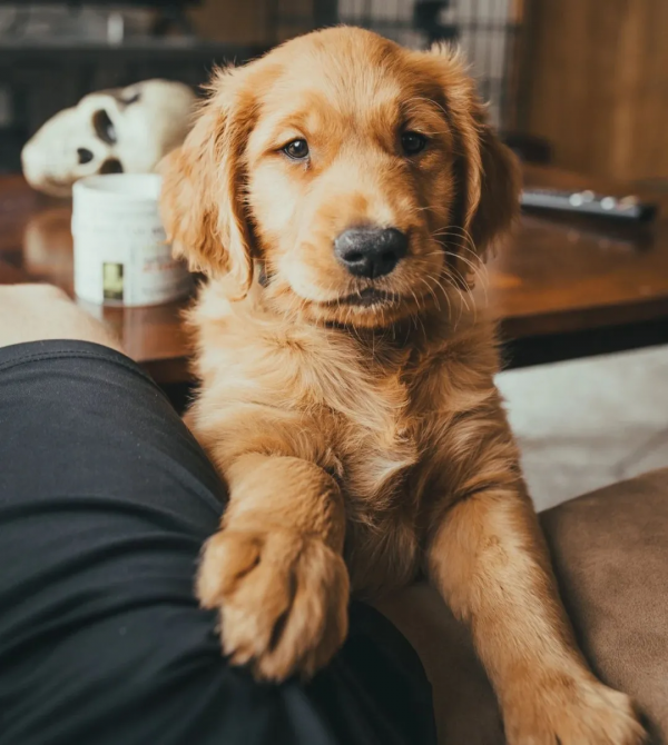 稿酬300元/篇 | 「八公叔叔」徵稿 稿酬300元/篇 | 「八公叔叔」徵稿