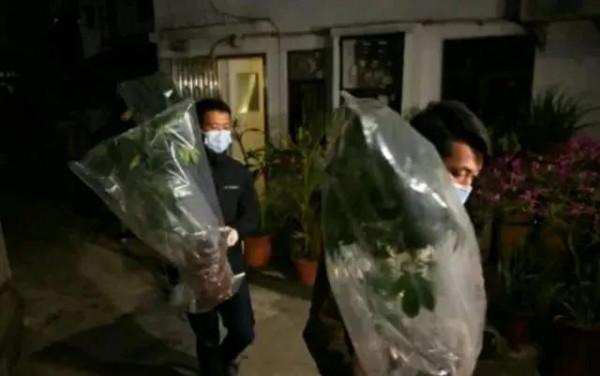 81歲老戲骨出事,家裡搜出大量毒品,生產銷售一條龍 81歲老戲骨出事,家裡搜出大量毒品,生產銷售一條龍