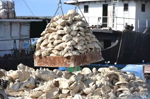 7319顆珠子,引出全球最大黑市,來自千年前的海底靈玉 7319顆珠子,引出全球最大黑市,來自千年前的海底靈玉